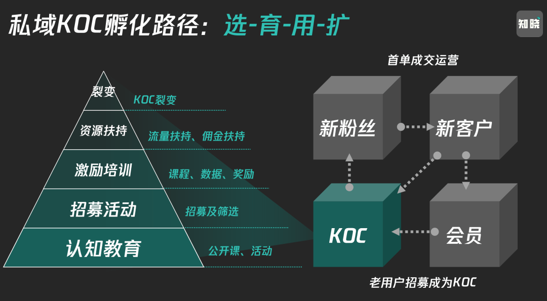 提升品牌口碑的创意广告案例分析