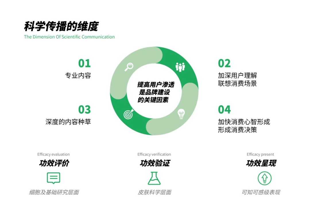 深入剖析：如何通过品牌故事影响消费者